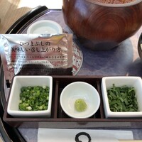 まるや本店 中部国際空港店 - 薬味（ネギ、わさび、しそ、刻み海苔）