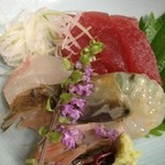 京都 白河院 - 向付