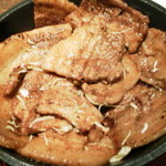 駿河 - 2013.11.2  野菜を食べたあとの　カナダ豚の２倍豚丼☆