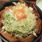 駿河 - 2013.11.2  カナダ豚の２倍豚丼　空中撮影☆