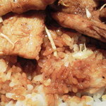 駿河 - 2013.11.2  カナダ豚丼の甘ダレ☆