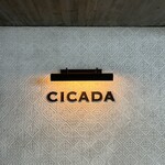 CICADA - 