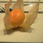 Ichifuji - ほおずきトマト