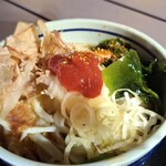 222501953 - 冷やしおろし梅うどん