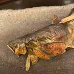 山玄茶 - 子持ち❣️