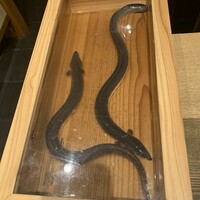 にょろ助 銀座 - 