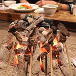 柳家 - おぉ～、珍しい、老茸　（黒皮茸）　(2013/10)