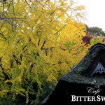 Bitter Sweet - 報国寺：鎌倉の紅葉の見頃は例年11月下旬から12月上旬です。報国寺は竹のお寺として有名ですが、大きなイチョウの樹があって紅葉シーズンも人気です。（当店から2,900m）