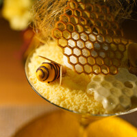 オールデイダイニング オアシスガーデン - 