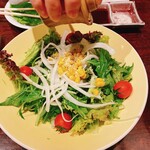 Yakinikuhorumommarukin - サラダです