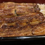 Unagi Kappou Ooedo - 