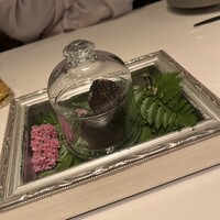 Terres de Truffes, Tokyo - 