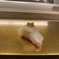 梅田 鮨 よこ田 - 