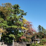 侍屋敷大松沢家 - 