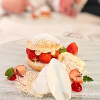 スプレンディード - 