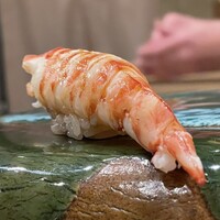 鮨楽座 八の樹 - 車海老　大分