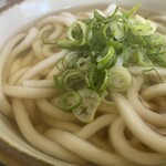 Nanashino Udon - 煮干しの出しが上品な味わい