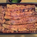 Unagi Takase - 