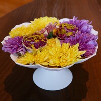 CYCLE by Mauro Colagreco - 『鯖と菊花のタルト』