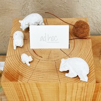 ad hoc  - 