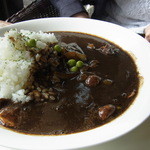 カフェ・ノビロ - ハヤシライス（１０５０円）。よく煮込まれた牛肉がたっぷり入っていました