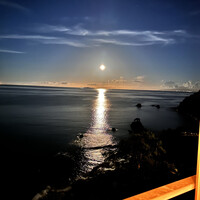 CODA ROSSA -  CODA ROSSA -