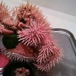 蓬左茶寮 - イガグリ蟹　