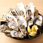 5 kinds of raw Oyster