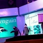 ペンギンのいるダイニングバー沖縄 - 