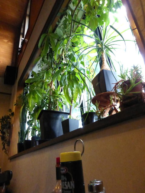 オリーブ - 二本松（洋食）の写真