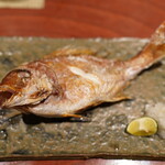 Toppimpararinopu - 真鯛