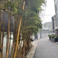 Terres de Truffes, Tokyo - 大通りからお寺さんの脇の道を入っいくと、お店が右手に｡