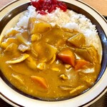 お酒とごはん はるのひ - はるのひカレー