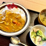 お酒とごはん はるのひ - はるのひカレー定食