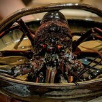 温石 - オラオラッ、とメンチきってくる伊勢海老。