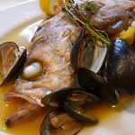炭火焼き鳥と自然派ワインのお店　Gallo - メバルとムール貝アクアパッツァ