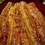 入谷鬼子母神門前のだや - 