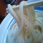 池上製麺所 - 面白いのが「 Ｈ 」のような形になった長方形断面。柔軟性と弾力の成せる技？