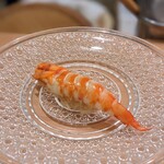 鮨 たつ也 よしかわ - 車海老