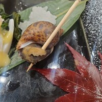 京都 鮨 もと樹 - バイ貝
