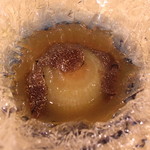 トゥ・ラ・ジョア - 玉ねぎトリフ　(2013/10)