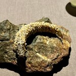 茶禅華 - 2023.10.  酒醉泥鳅