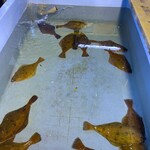 海の幸食処　えちぜん - 