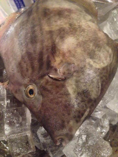 Hikasa Roppongi Ten photo 3