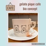 Gelato pique cafe bio concept - 