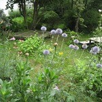 猫車 - ごはん屋ギャラリー 猫車