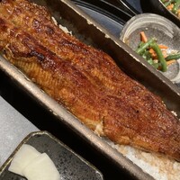 うなぎ四代目菊川 ミッドランドスクエア 名古屋本店 - 