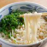 Aoten - 細くてコシのある、滑らかな麺をスルスルすする『五島うどん』