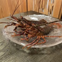 鉄板懐石 ふく - 