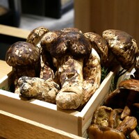 橦木町 しみず - 